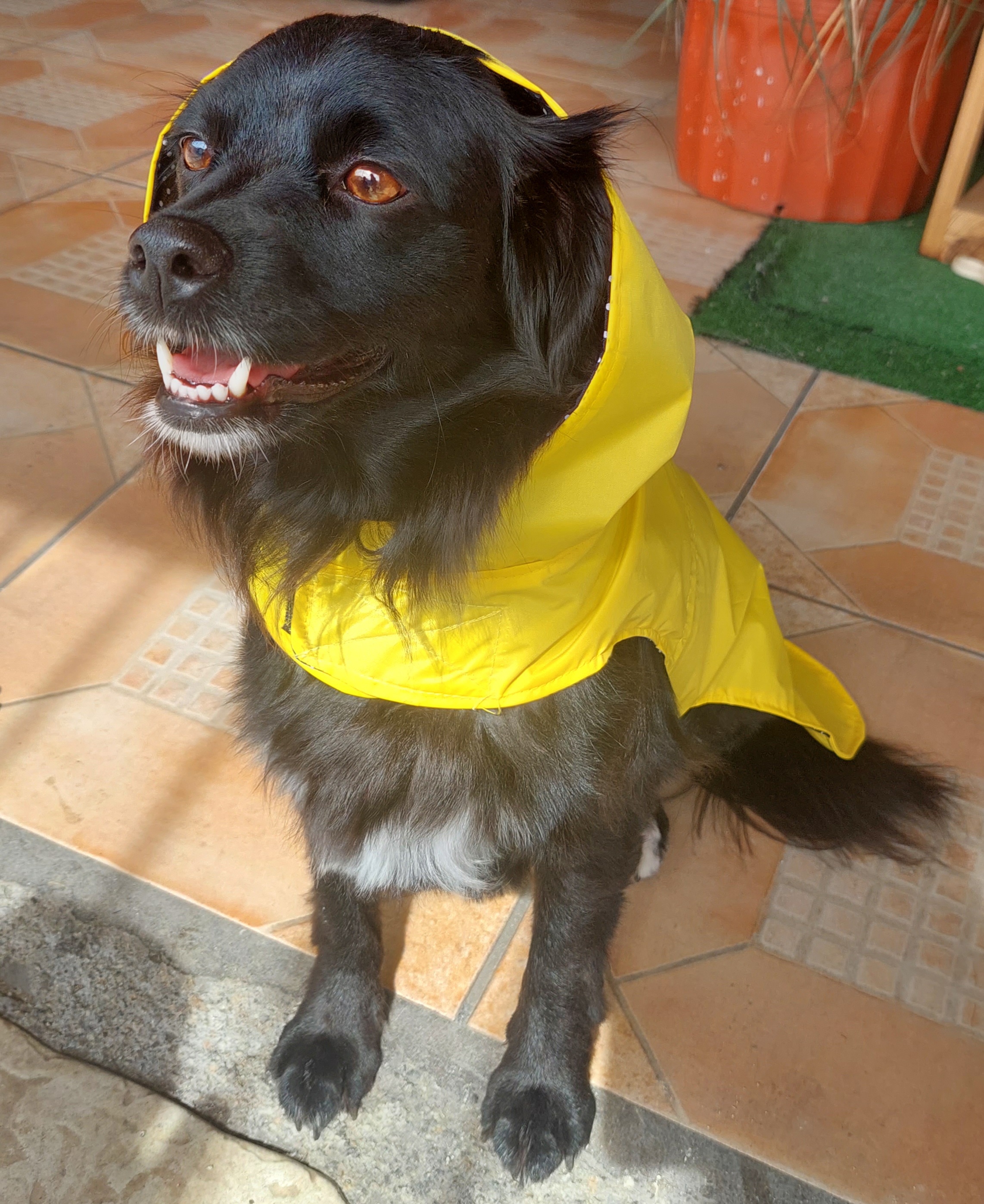 Capas para la lluvia - Image 4